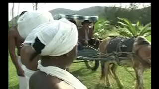 Negras da senzala As