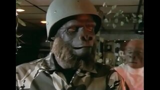 Das Playmate der Affen